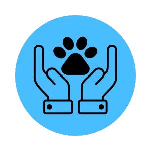 Digital marketing for pet food, accessory, and care brands in Dubai by ONzeeonWeb