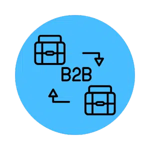 B2B ecommerce development and digital strategy for wholesalers in Dubai by ONzeeonWeb